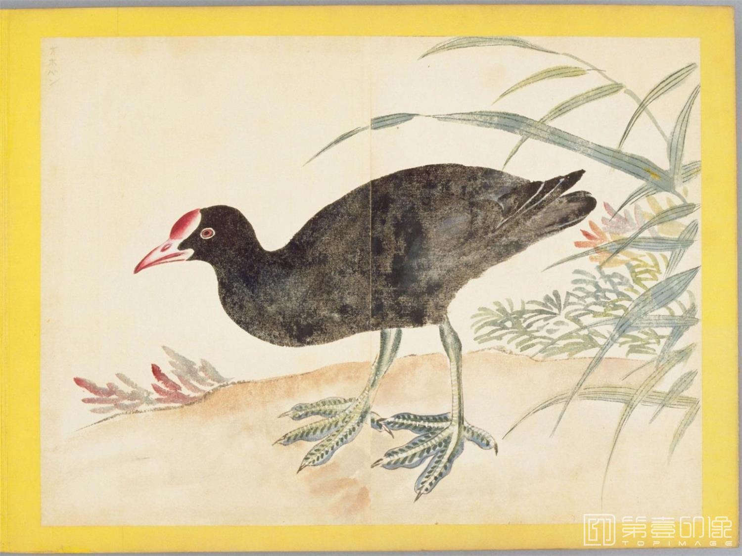 水彩画-百花鸟图-0117