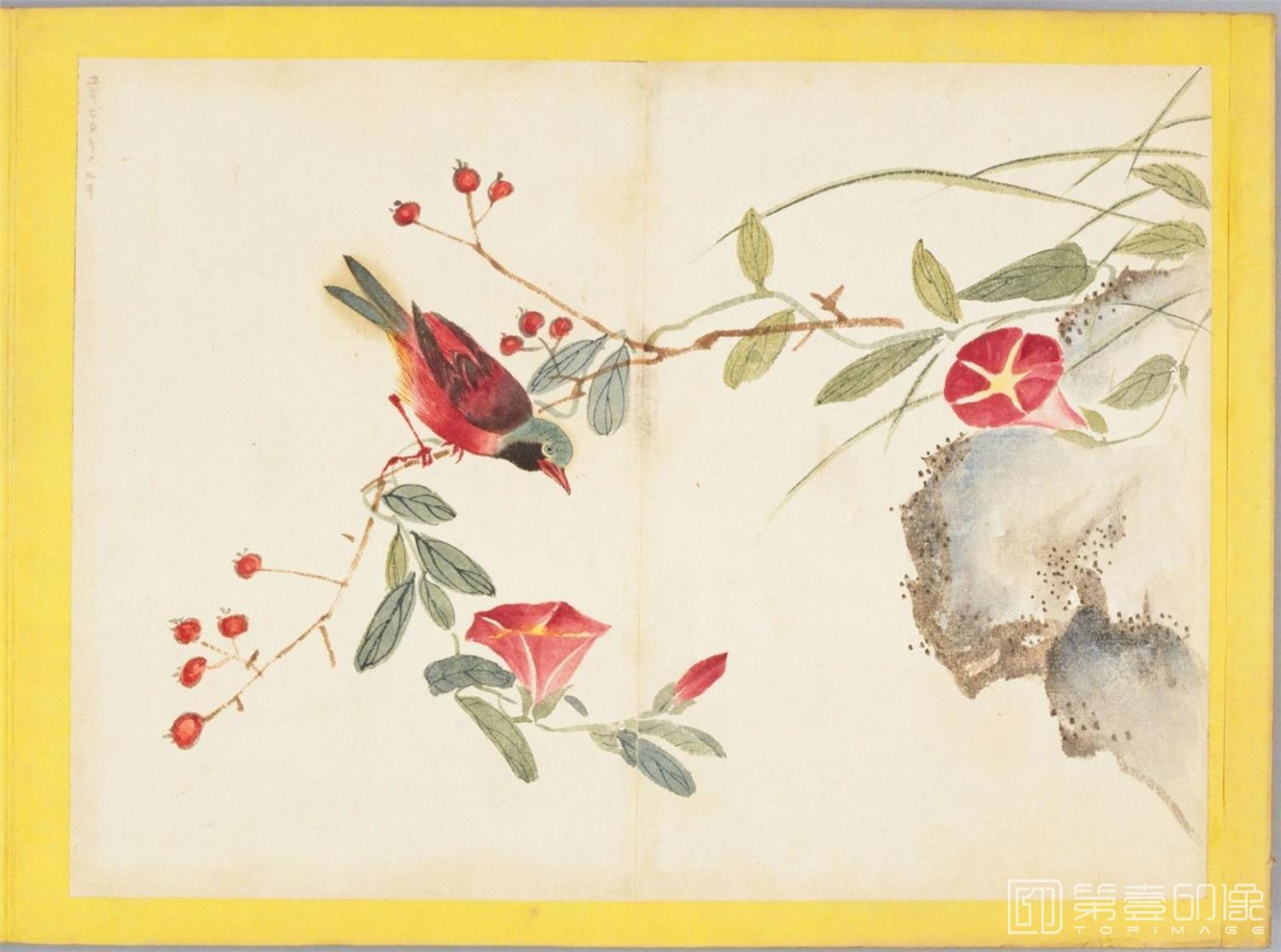 水彩画-百花鸟图-0119