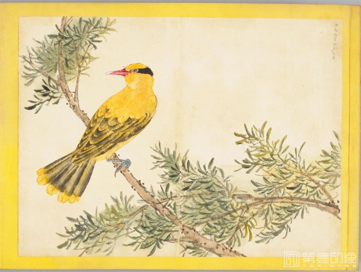 水彩画-百花鸟图-0123