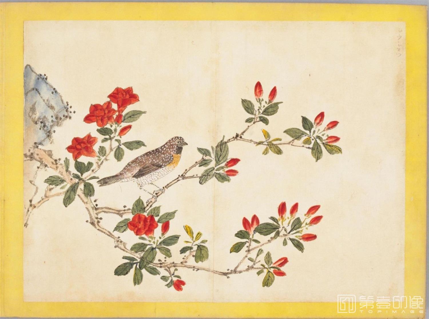 水彩画-百花鸟图-0125