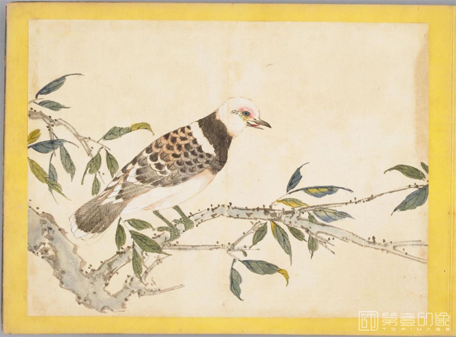水彩画-百花鸟图-0126