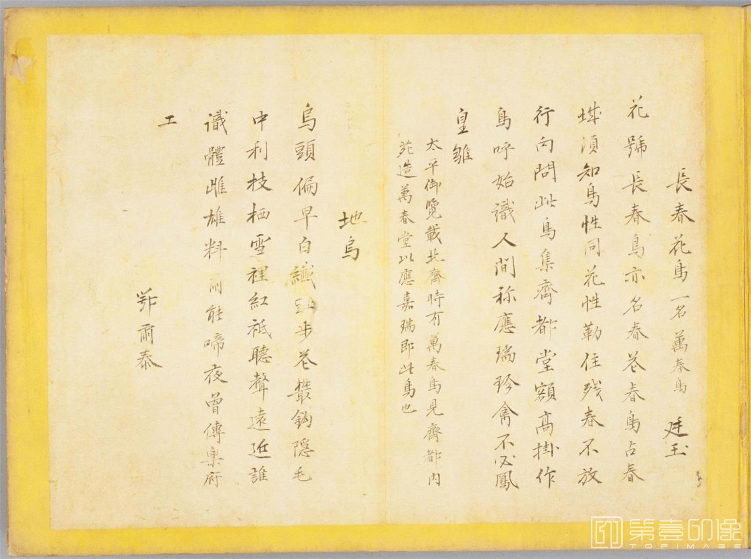 书法-百花鸟图-0127