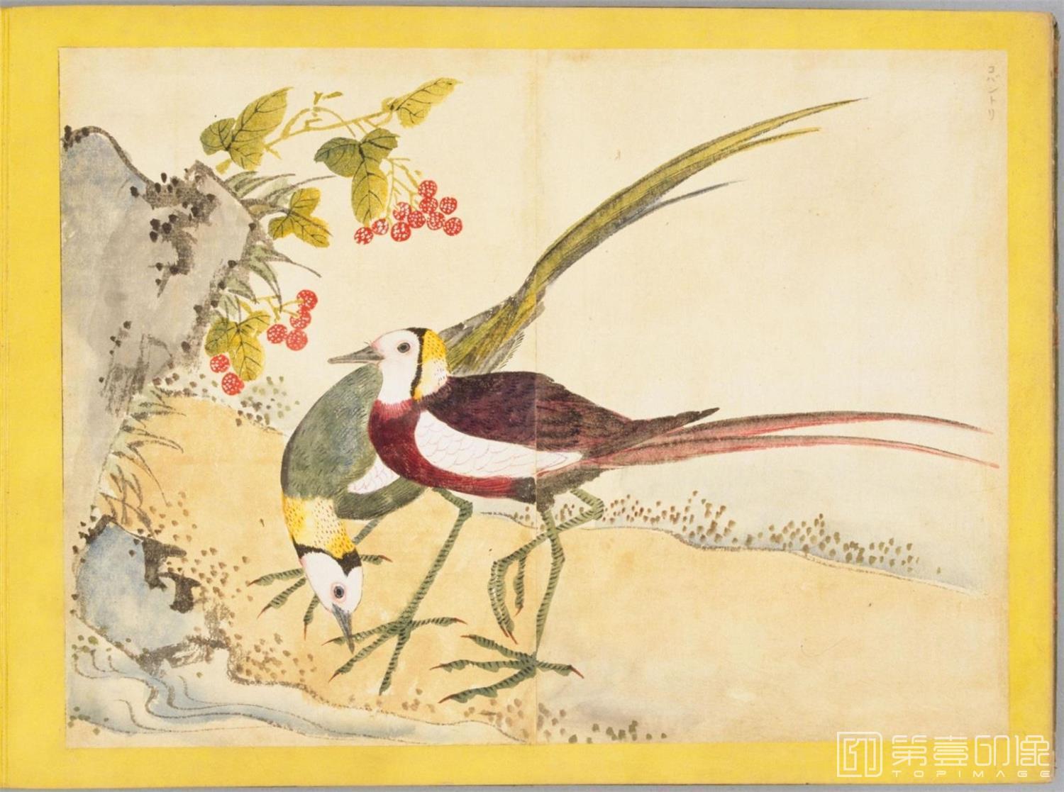 水彩画-百花鸟图-0128