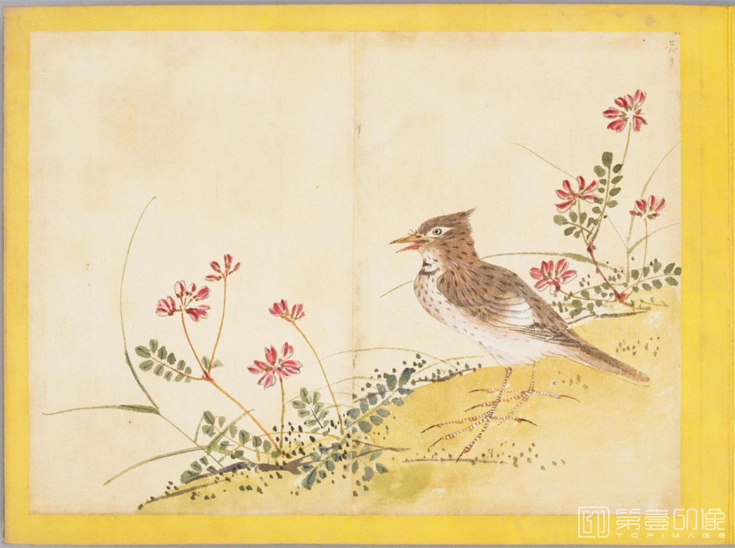 水彩画-百花鸟图-0129
