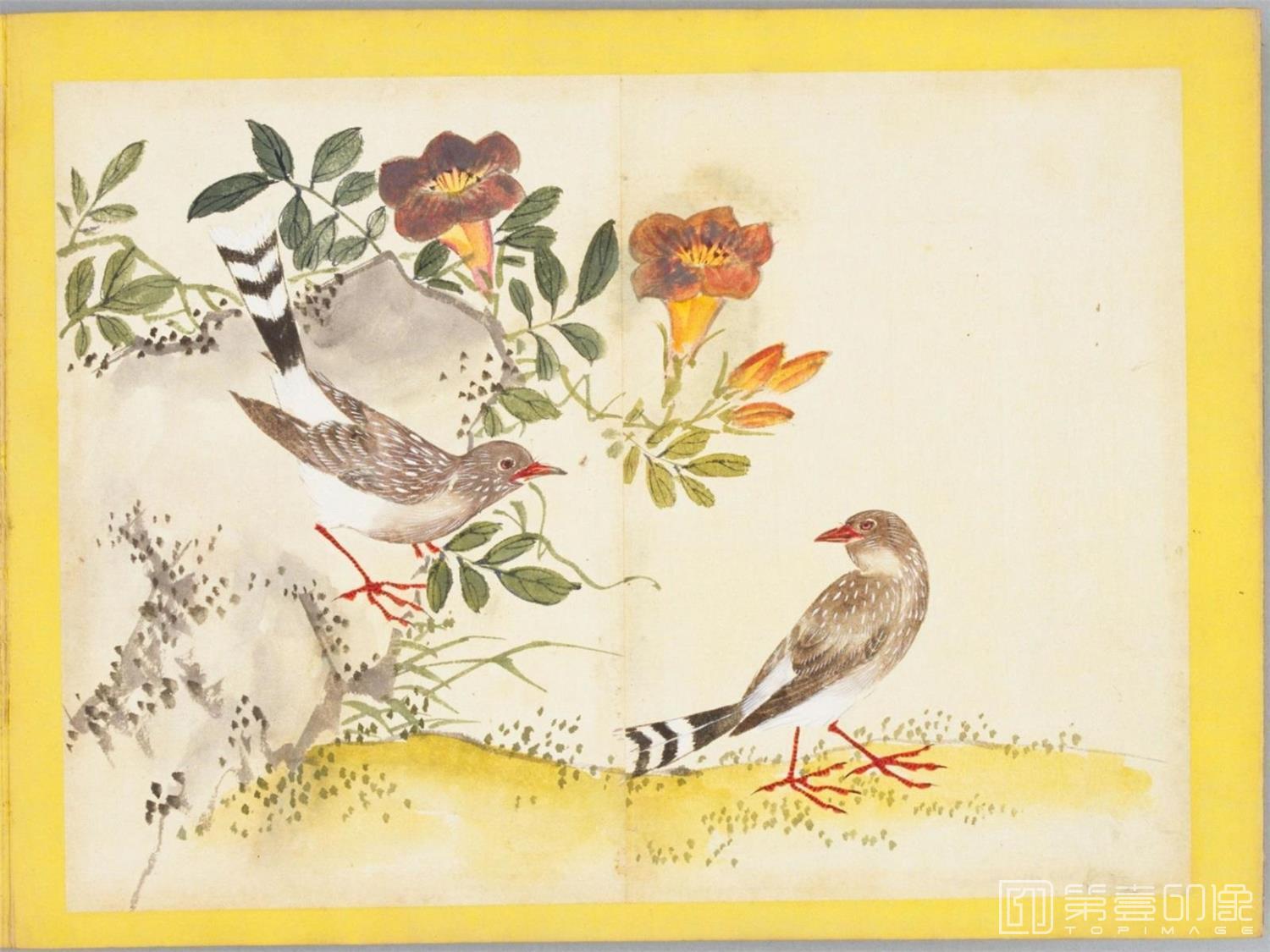 水彩画-百花鸟图-0134