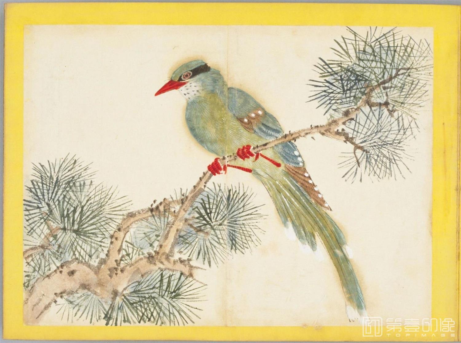水彩画-百花鸟图-0135