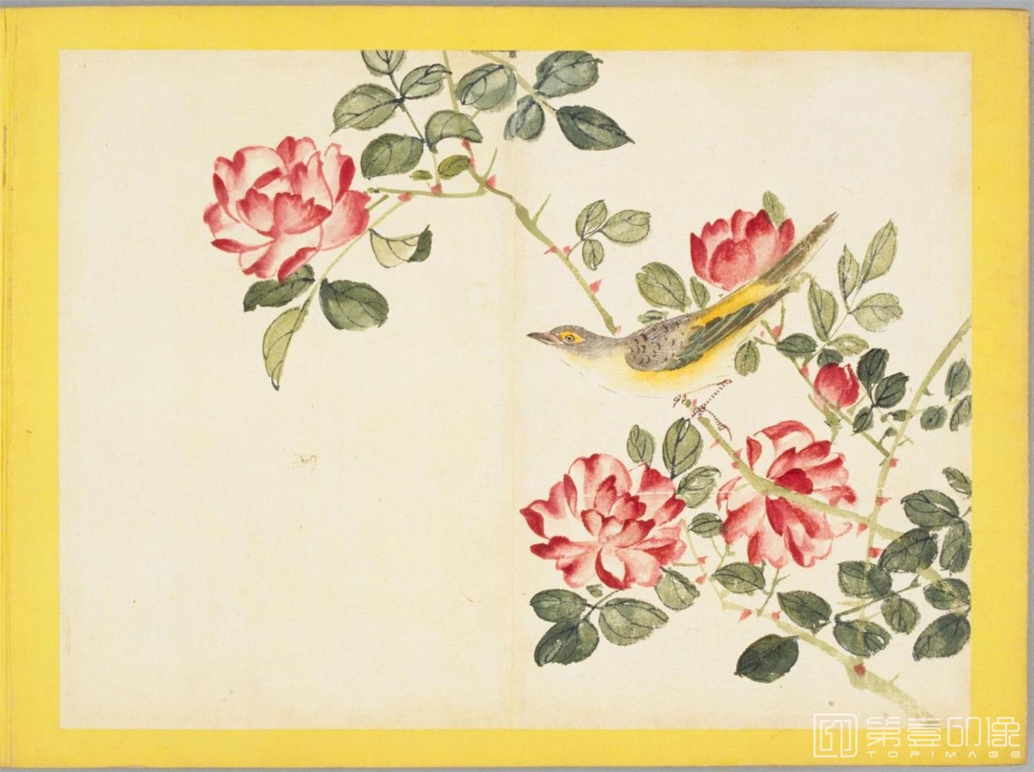 水彩画-百花鸟图-0138