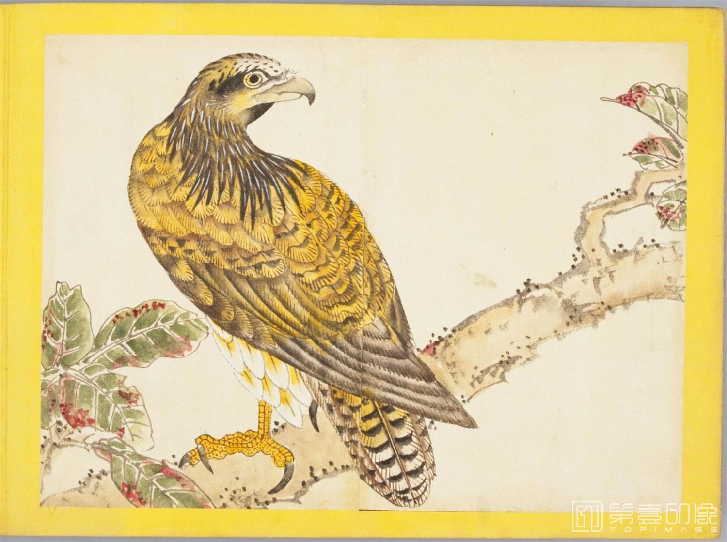 水彩画-百花鸟图-0140