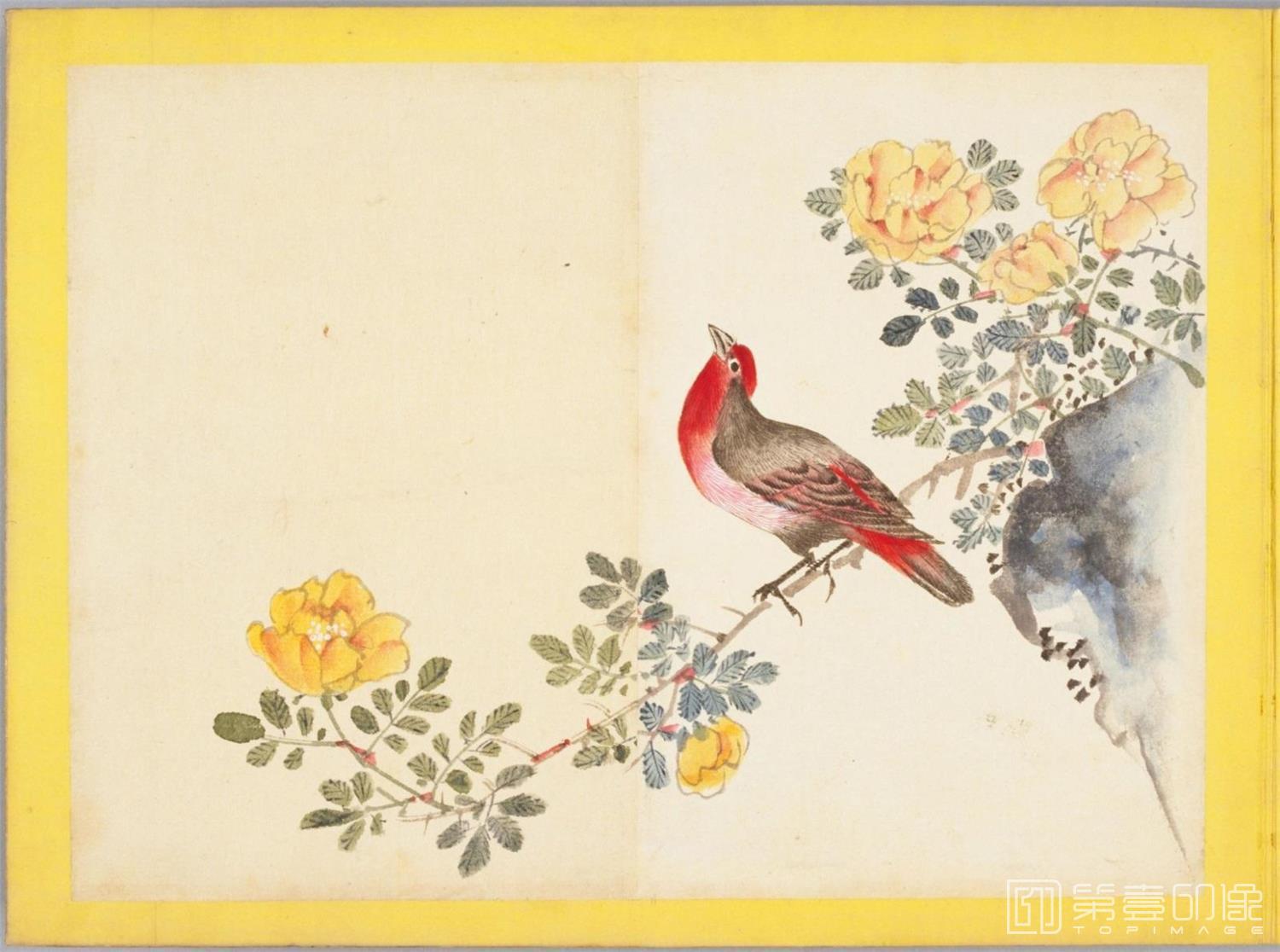 水彩画-百花鸟图-0143