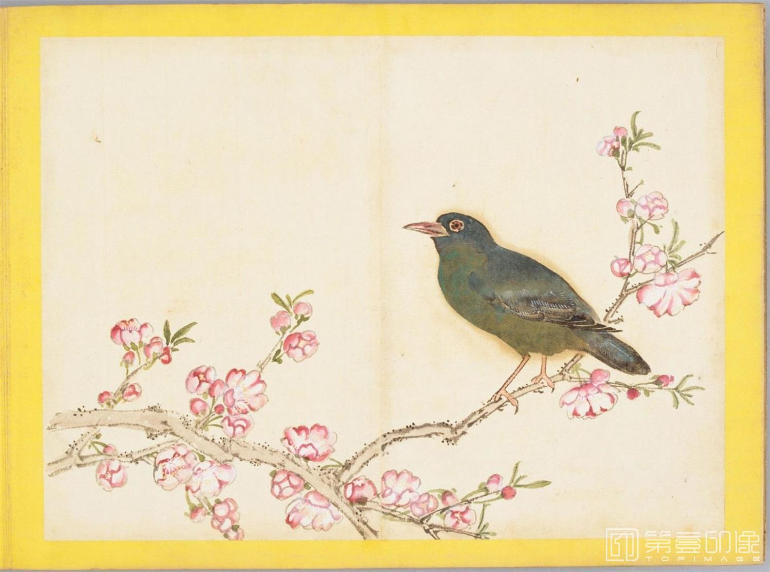 水彩画-百花鸟图-0144