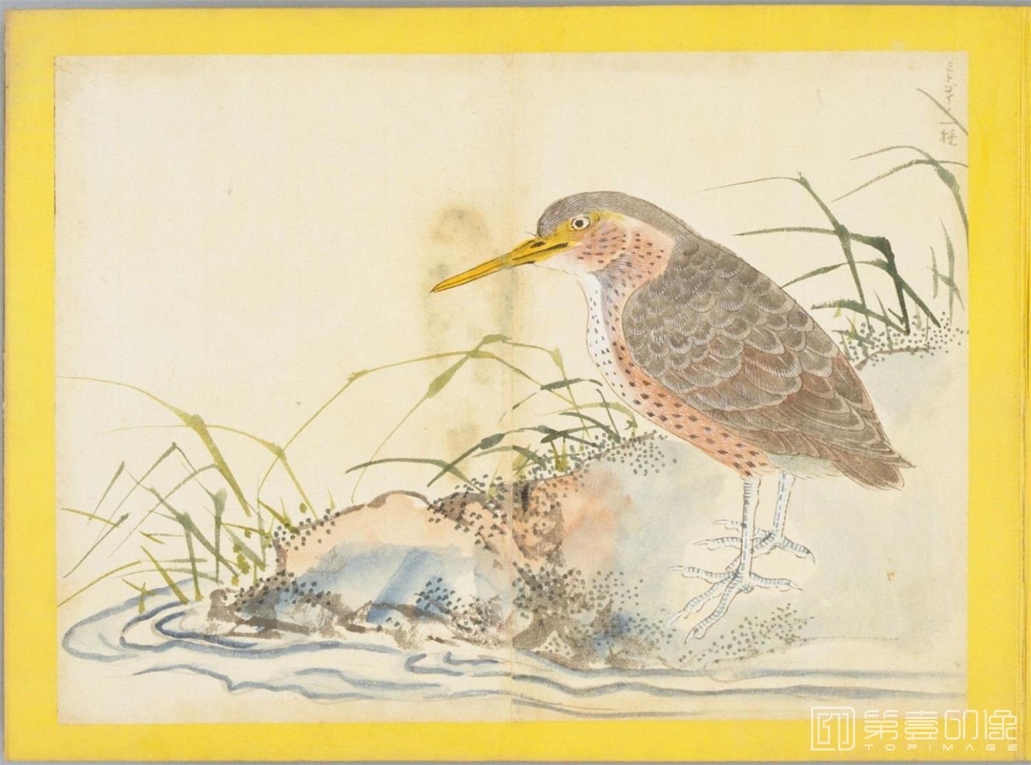 水彩画-百花鸟图-0147