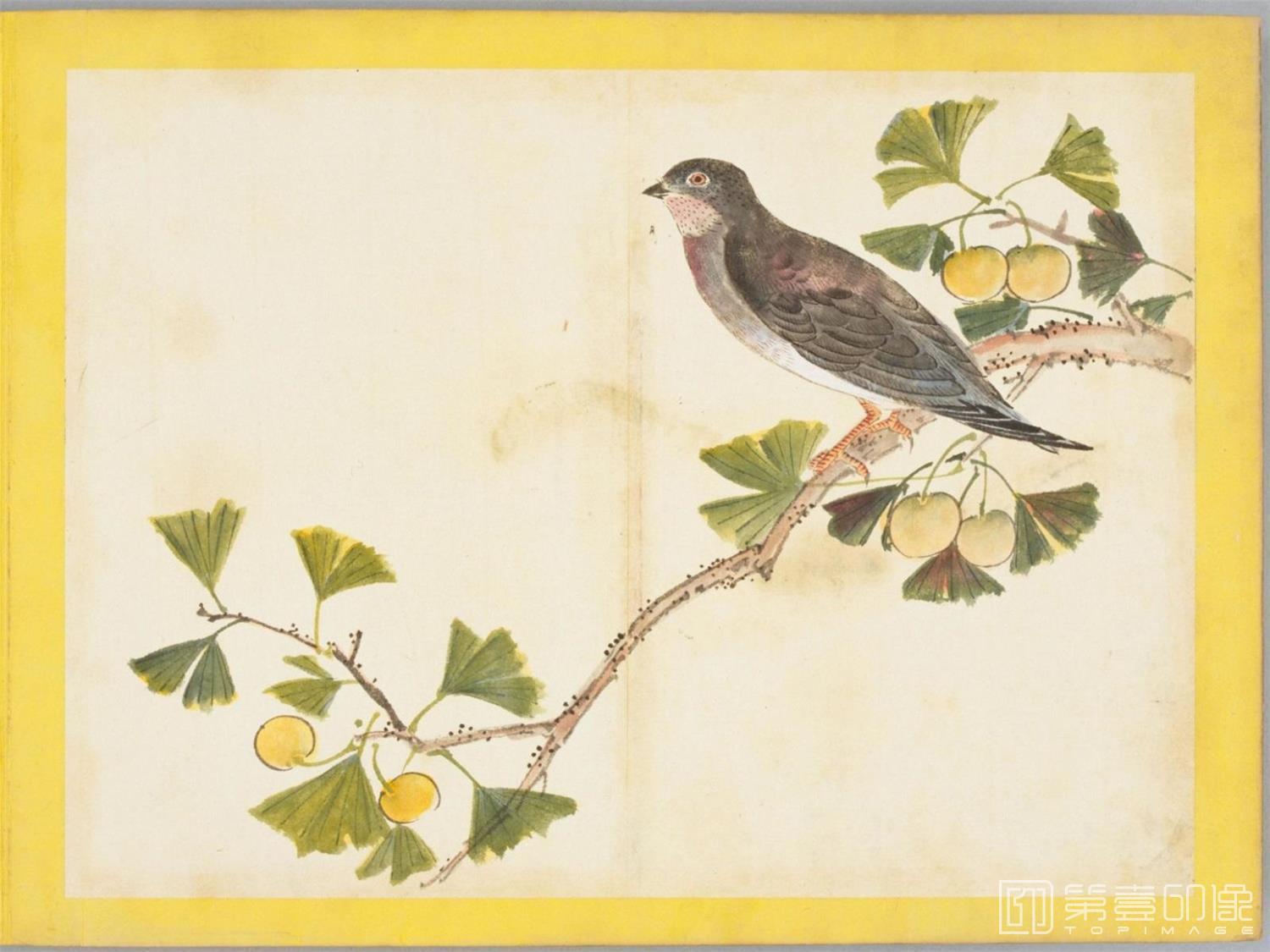 水彩画-百花鸟图-0152