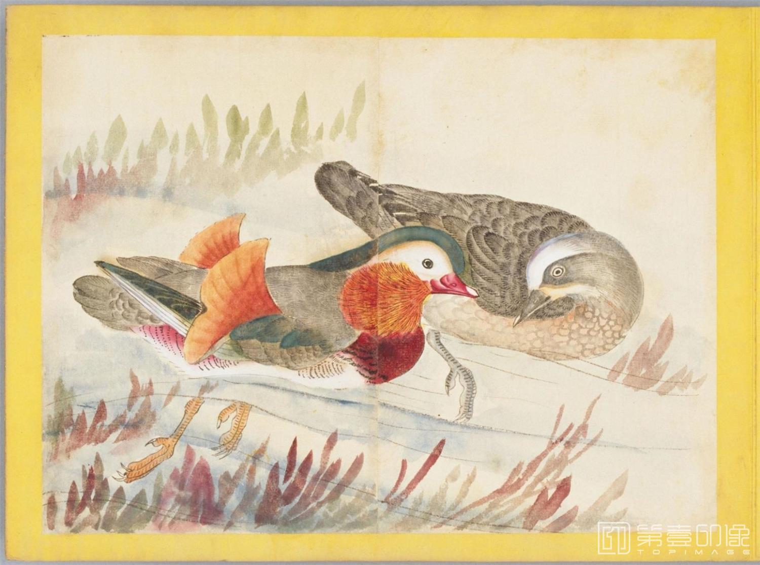 水彩画-百花鸟图-0153