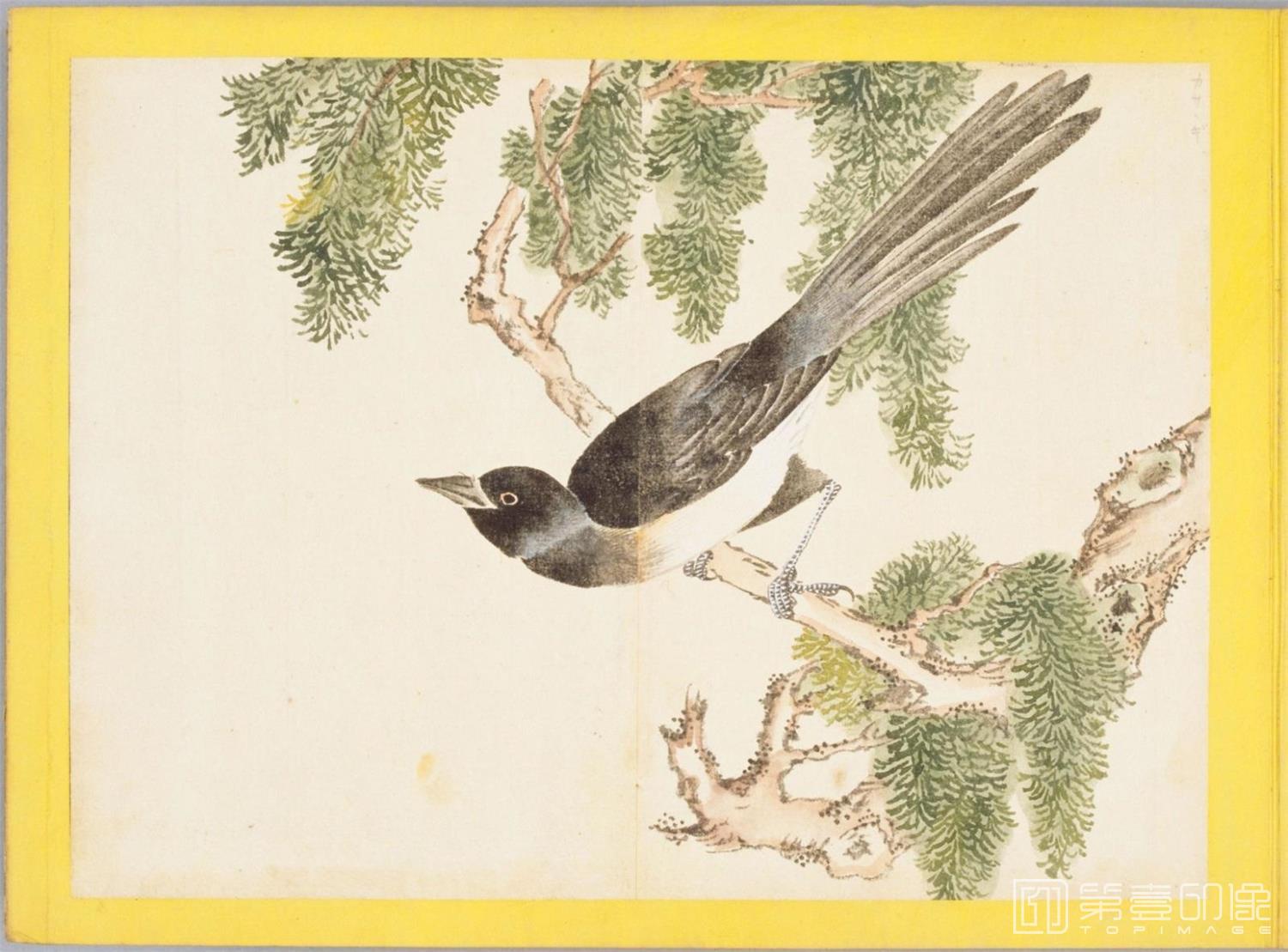 水彩画-百花鸟图-0155