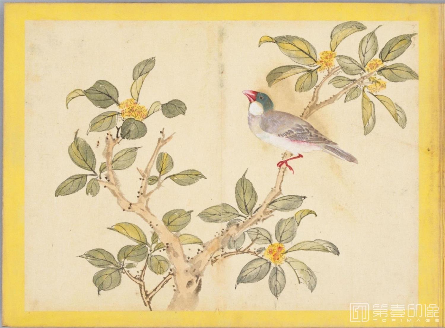 水彩画-百花鸟图-0159
