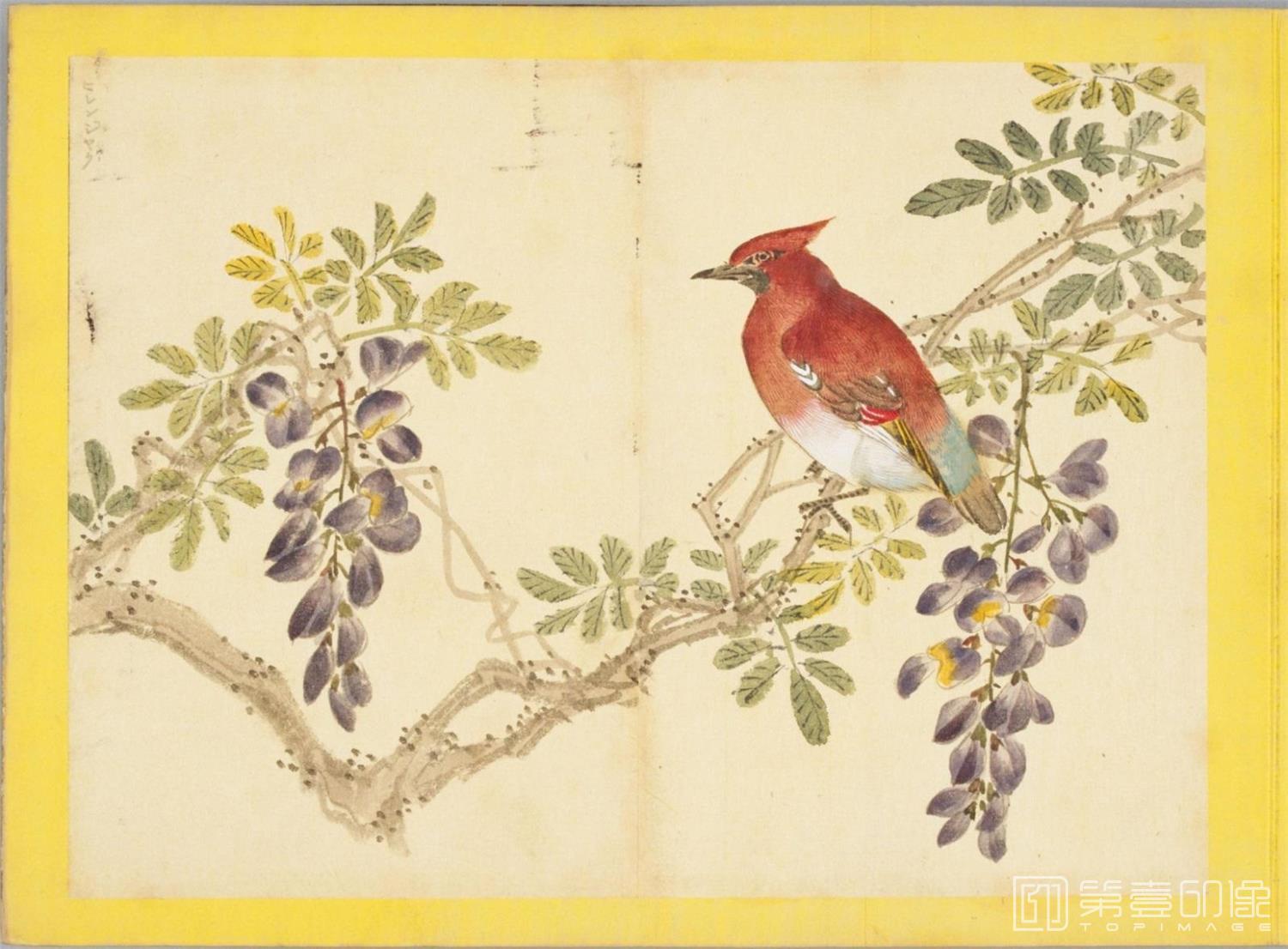 水彩画-百花鸟图-0161