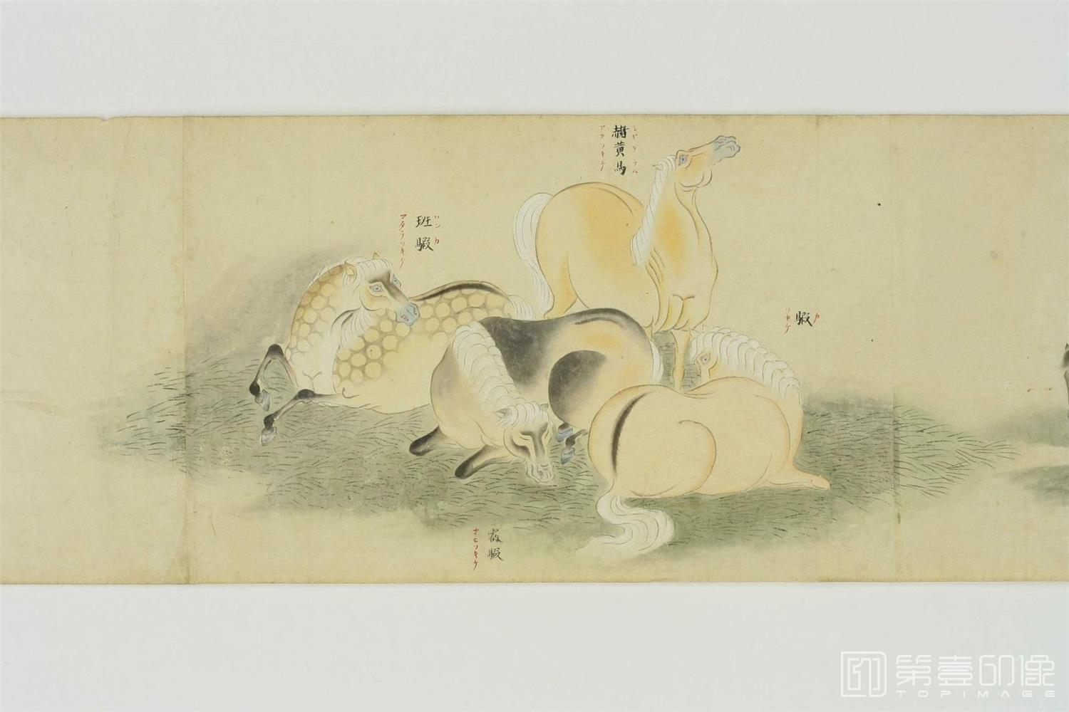 水彩画-百马图.乾坤-0003
