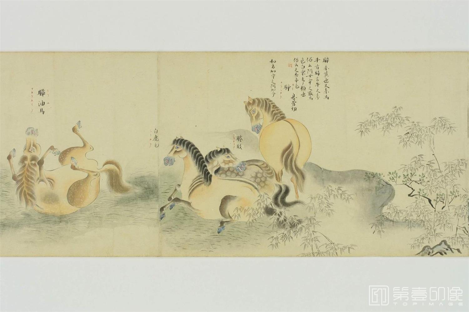 水彩画-百马图.乾坤-0012