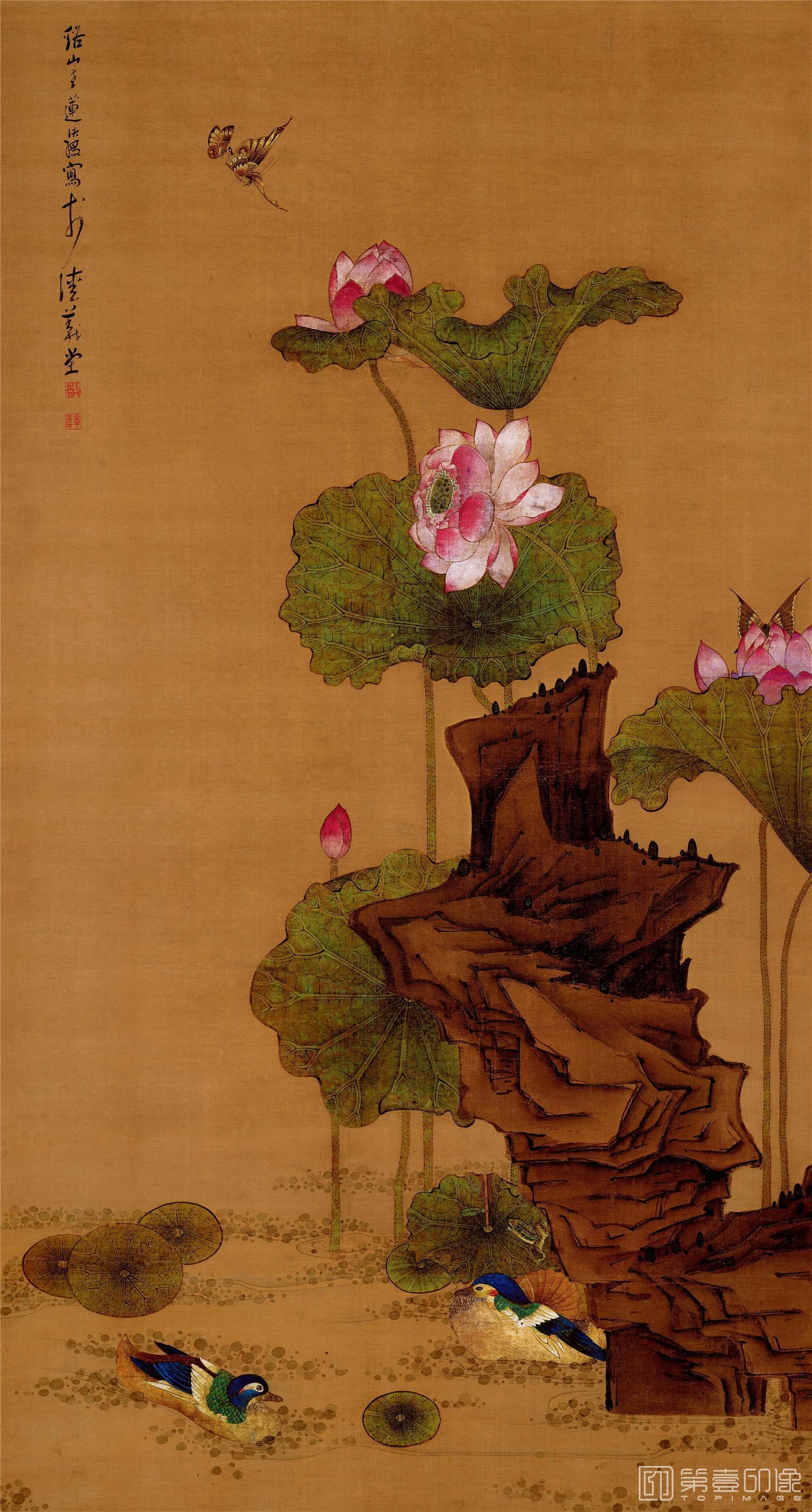 国画-荷花鸳鸯图