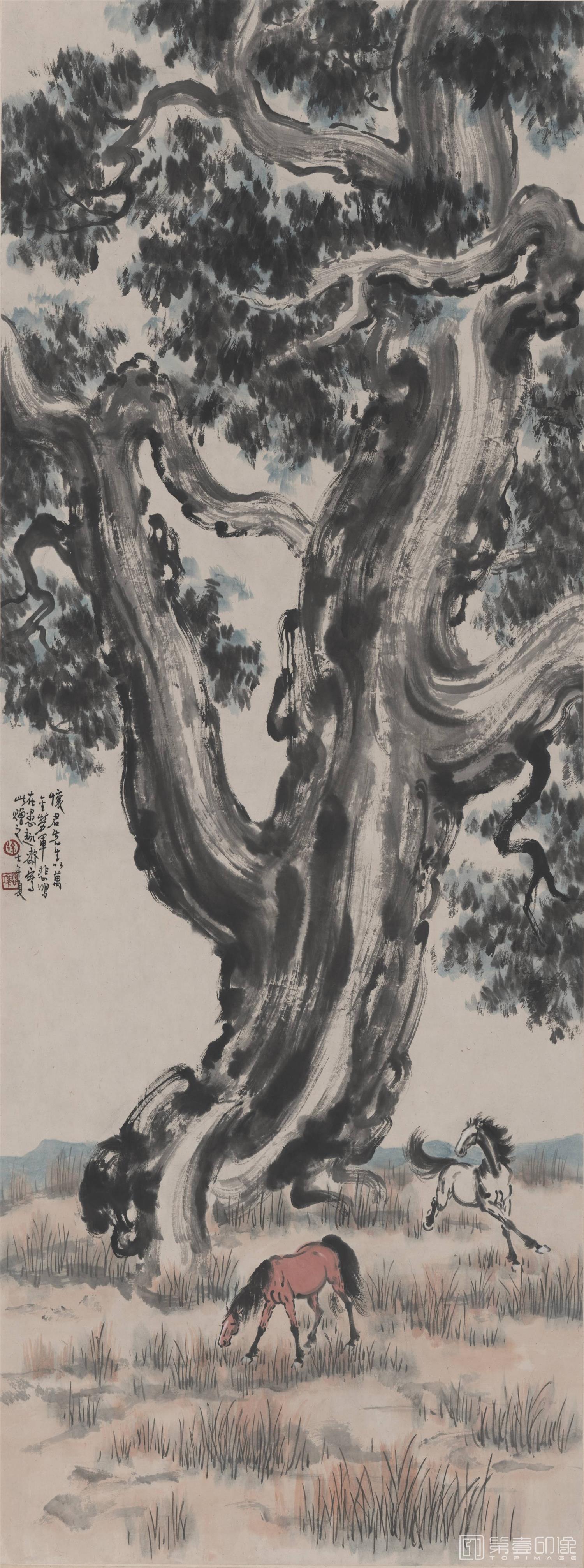 国画-柏树双马图轴134X50