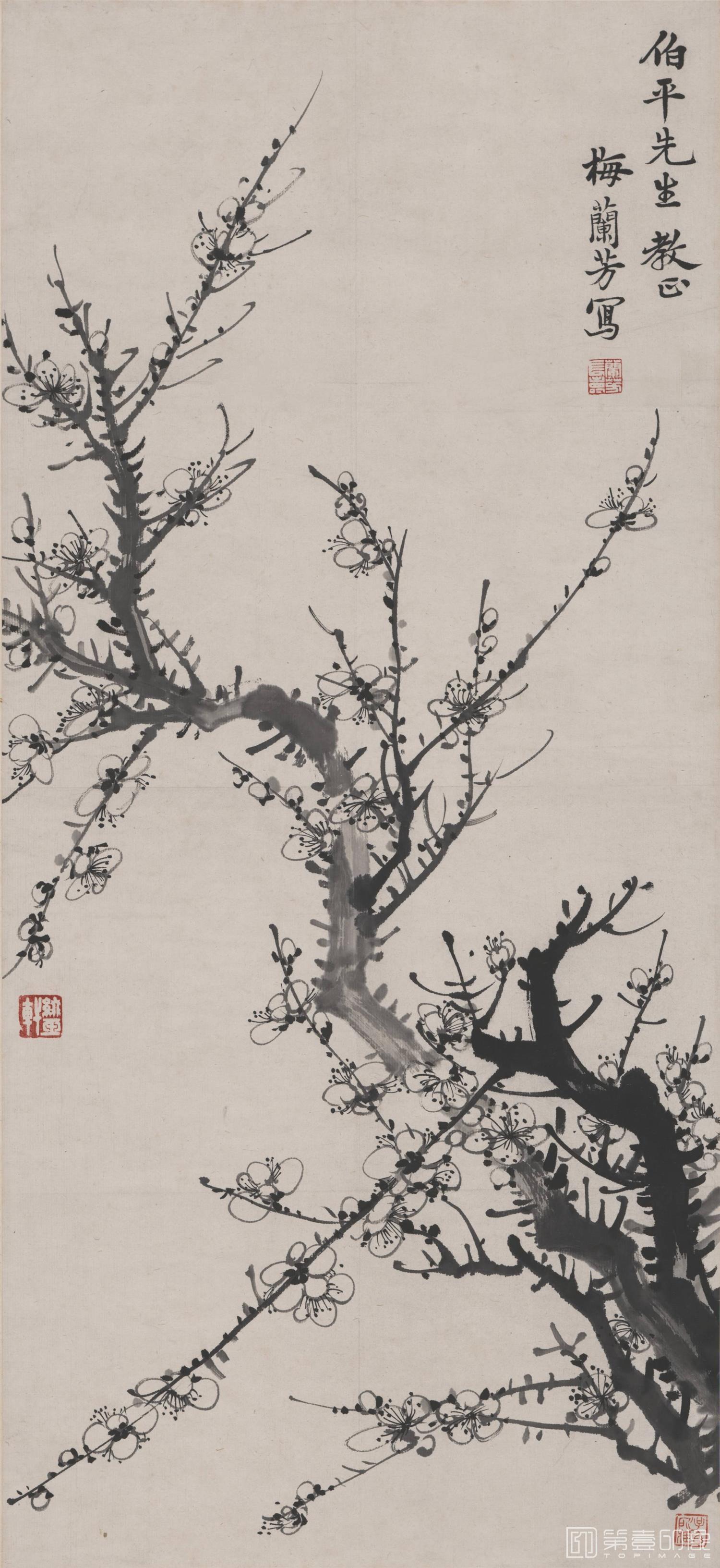 国画-墨梅图轴71X33