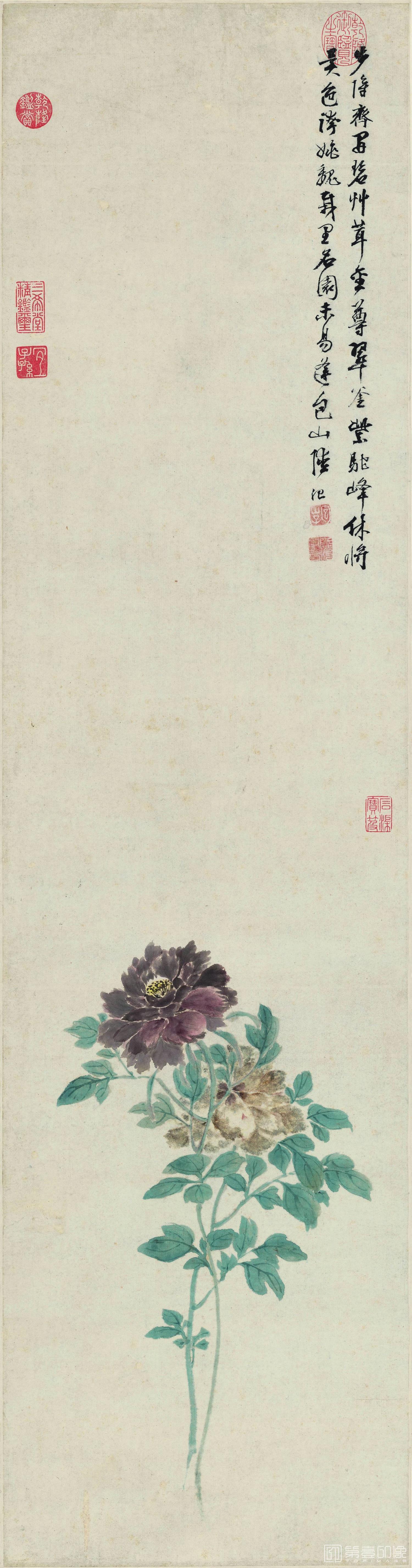 国画-牡丹图 纸本31.7x102.8