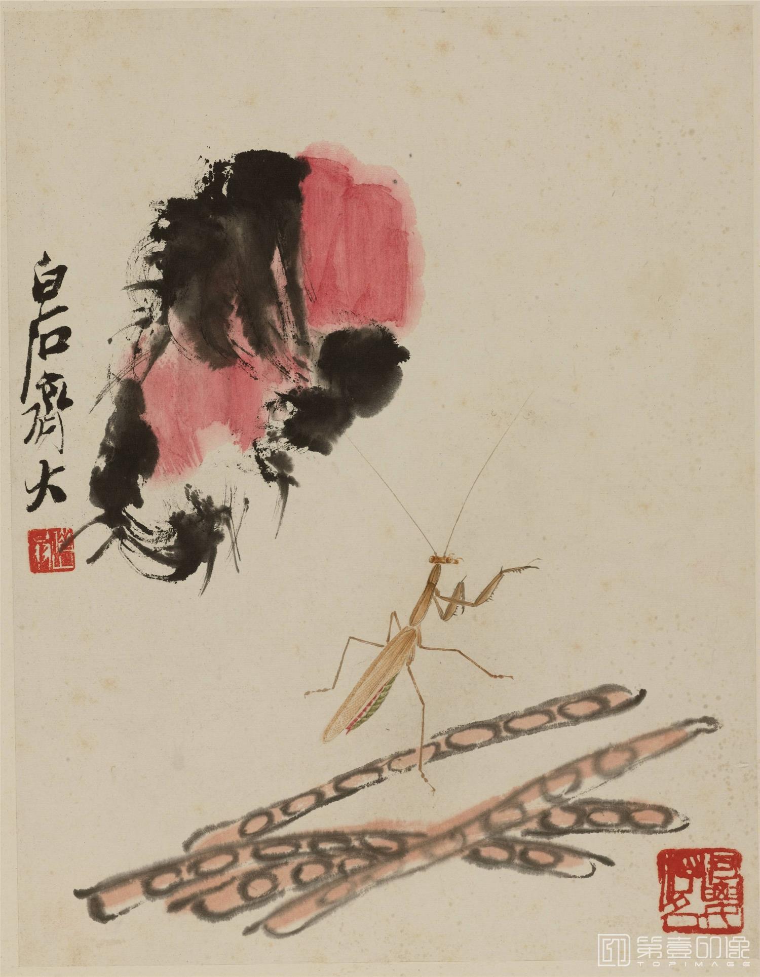 国画-豇豆螳螂