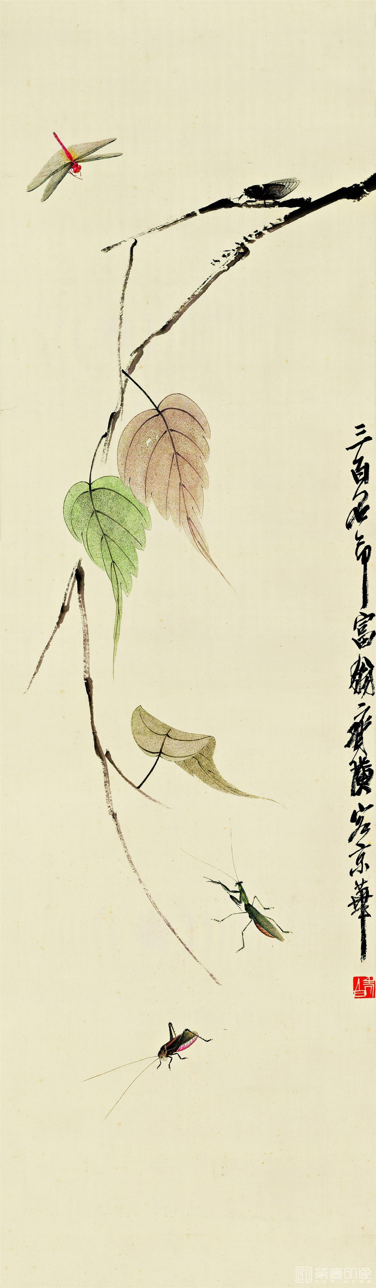 国画-贝叶草丛