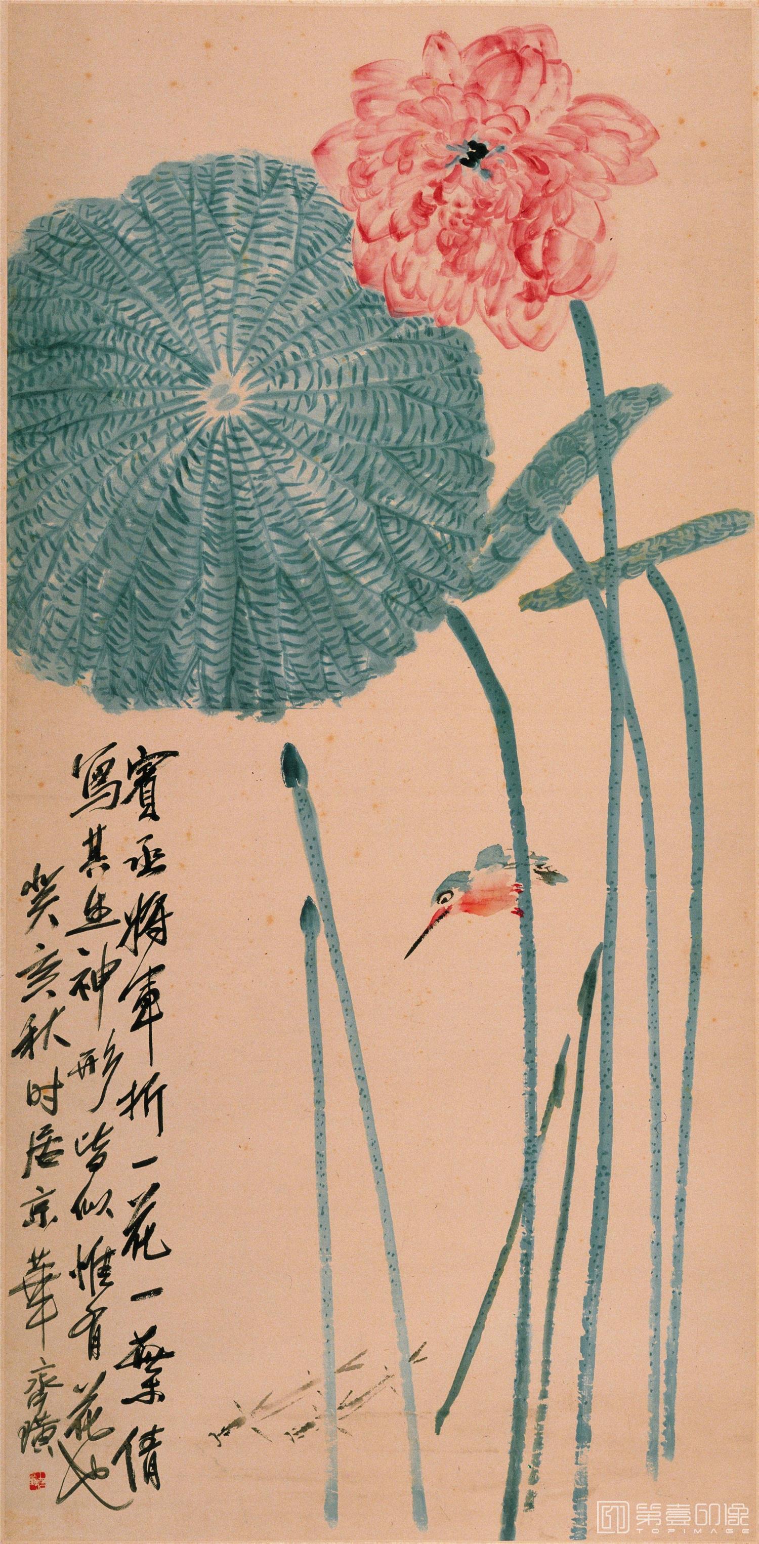 国画-荷花