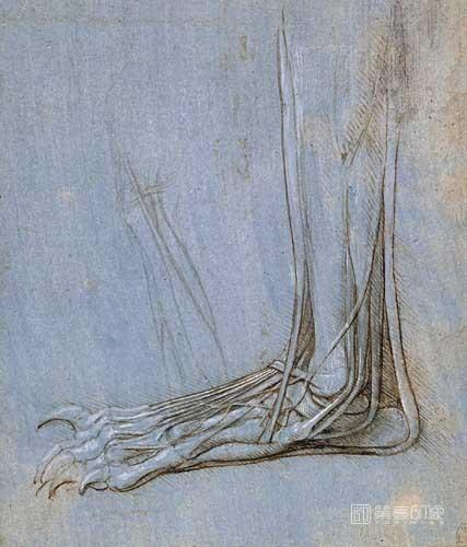 油画-[意大利]莱昂纳多·达·芬奇 (Leonardo da Vinci)作品集-0168