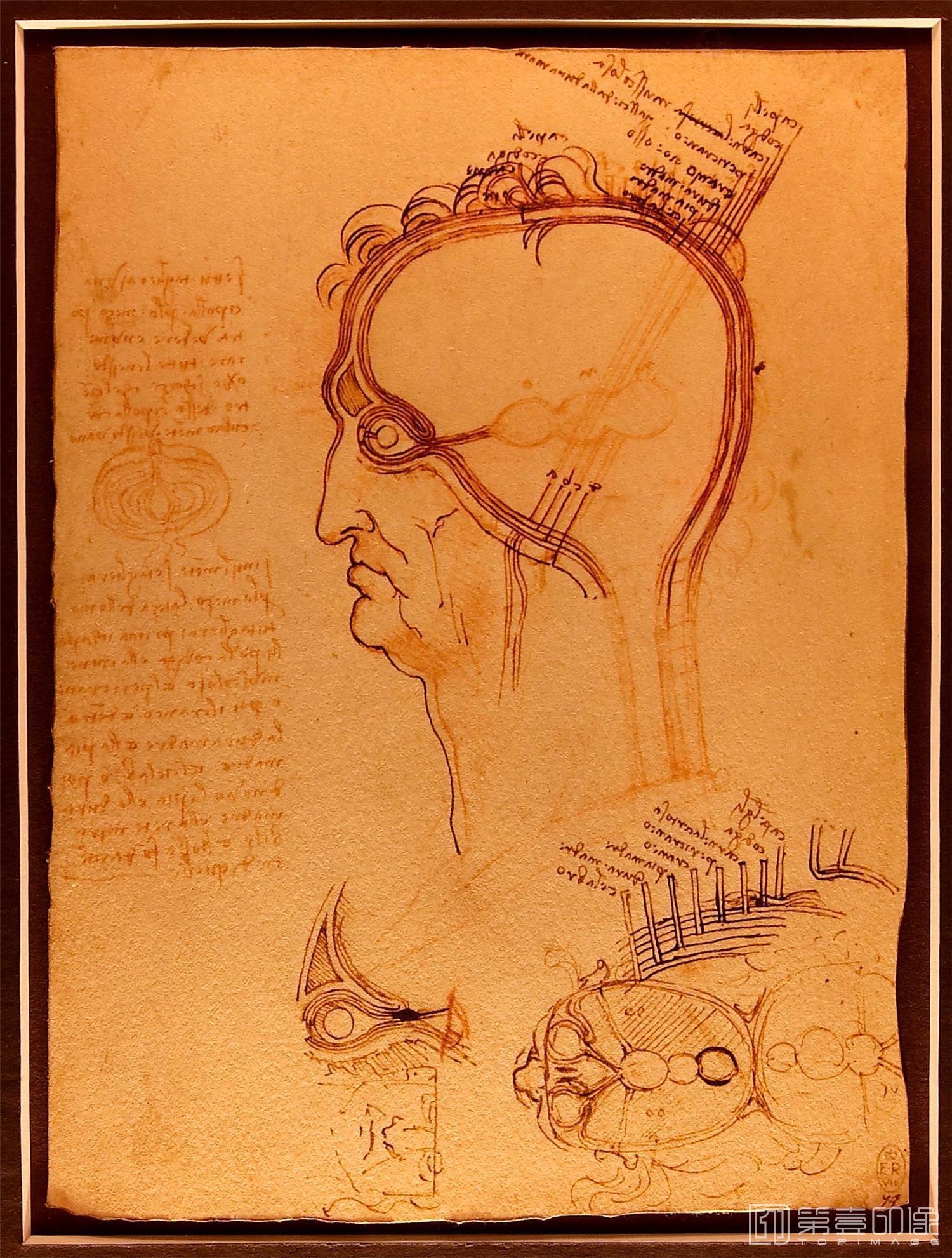 油画-[意大利]莱昂纳多·达·芬奇 (Leonardo da Vinci)作品集-0173