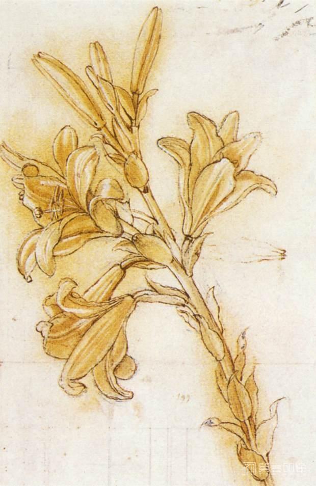 油画-[意大利]莱昂纳多·达·芬奇 (Leonardo da Vinci)作品集-0200