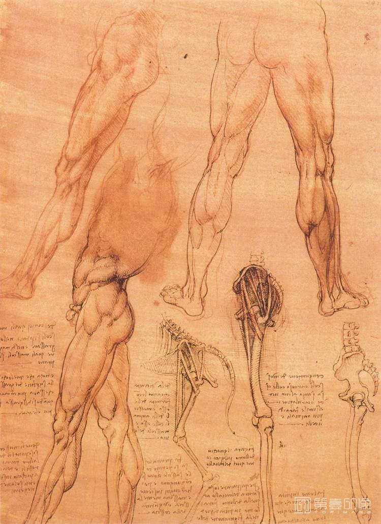 油画-[意大利]莱昂纳多·达·芬奇 (Leonardo da Vinci)作品集-0205