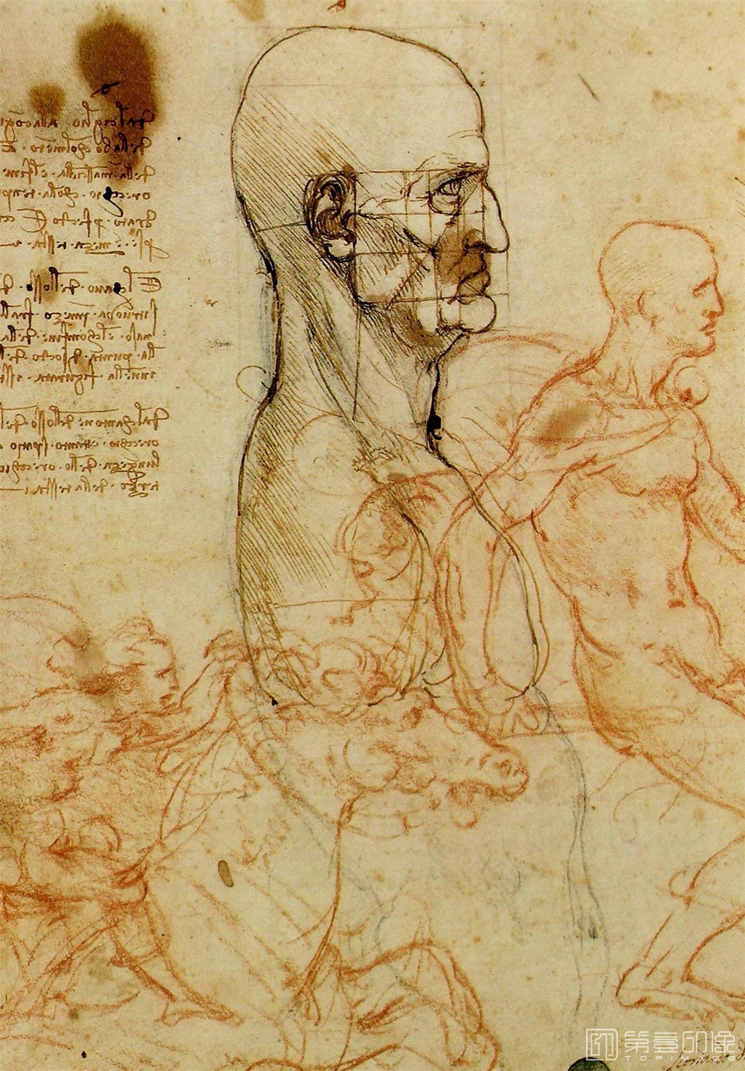 油画-[意大利]莱昂纳多·达·芬奇 (Leonardo da Vinci)作品集-0207