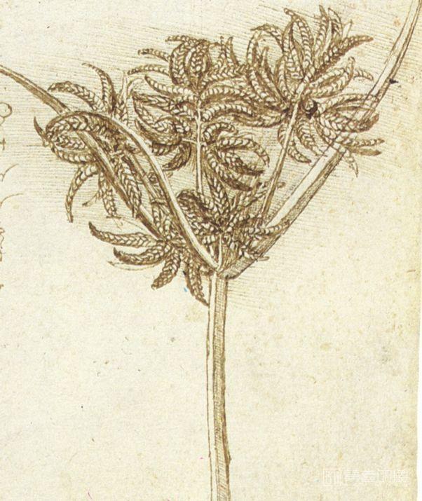 油画-[意大利]莱昂纳多·达·芬奇 (Leonardo da Vinci)作品集-0209