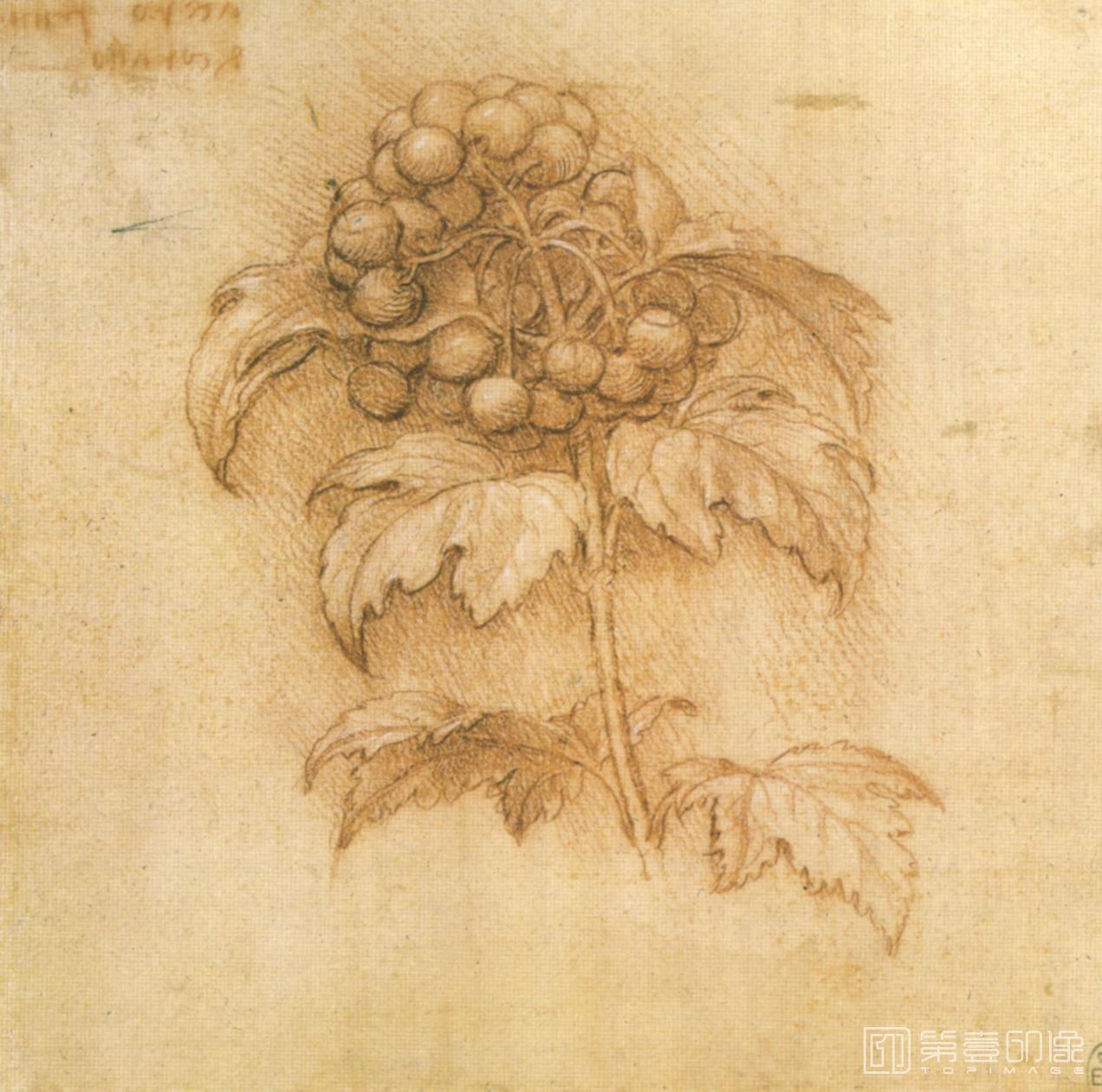 油画-[意大利]莱昂纳多·达·芬奇 (Leonardo da Vinci)作品集-0212