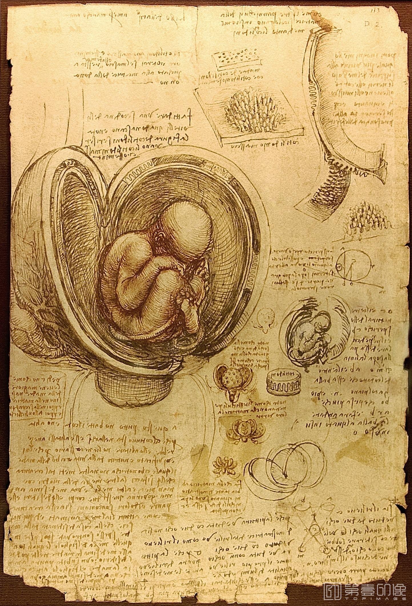油画-[意大利]莱昂纳多·达·芬奇 (Leonardo da Vinci)作品集-0219