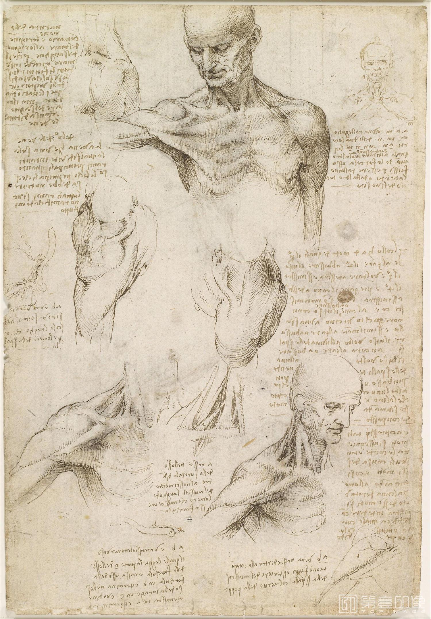 油画-[意大利]莱昂纳多·达·芬奇 (Leonardo da Vinci)作品集-0251