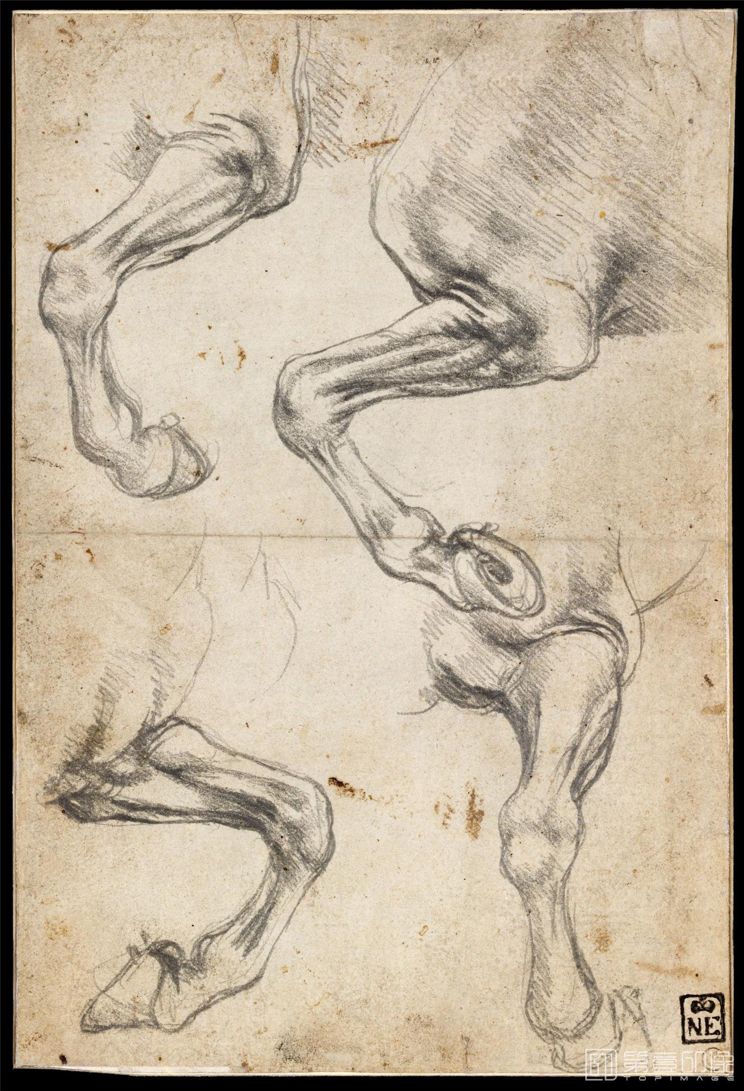 油画-[意大利]莱昂纳多·达·芬奇 (Leonardo da Vinci)作品集-0262