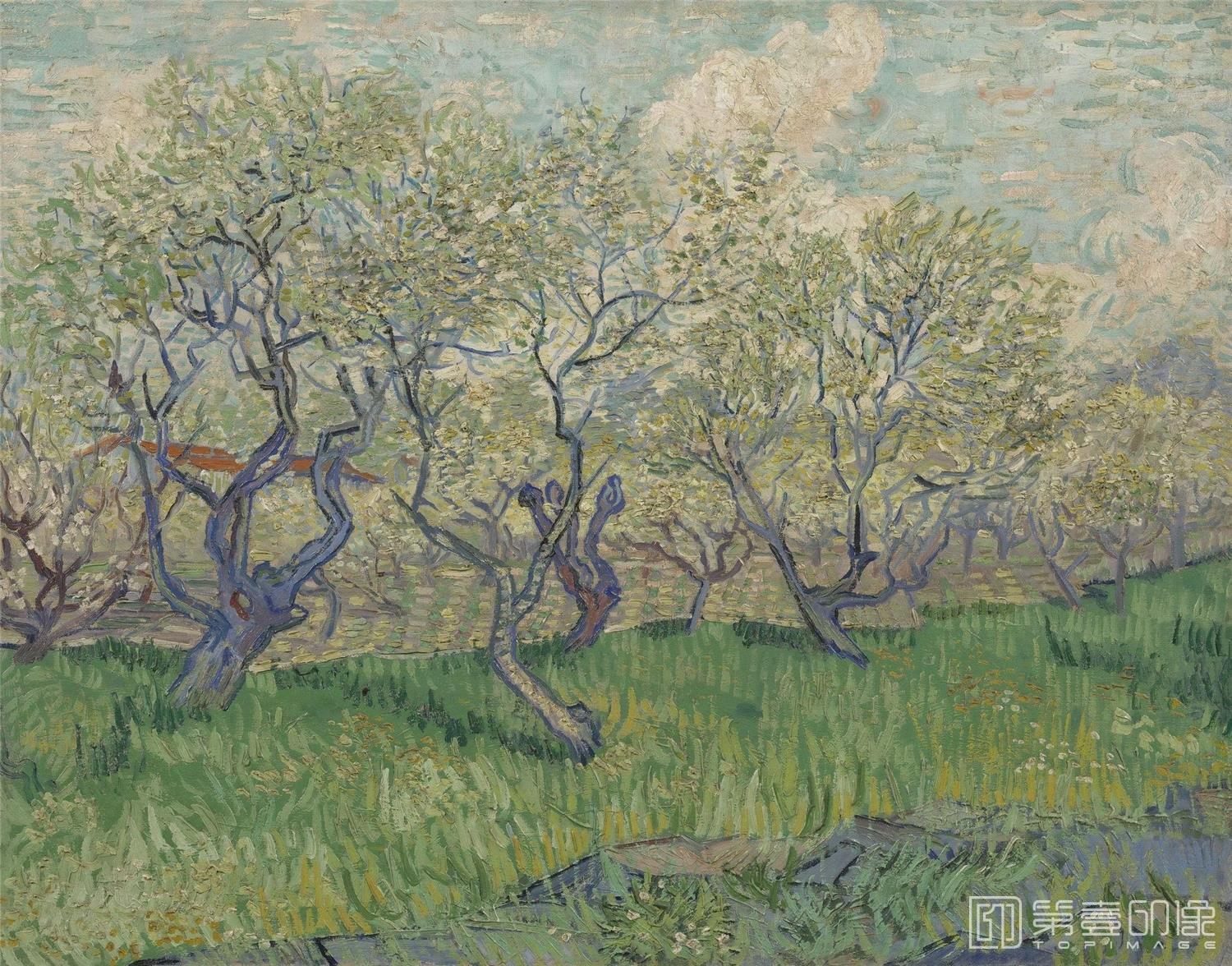 油画-[荷兰]文森特·威廉·梵高 (Vincent Willem van Gogh)作品集-0125