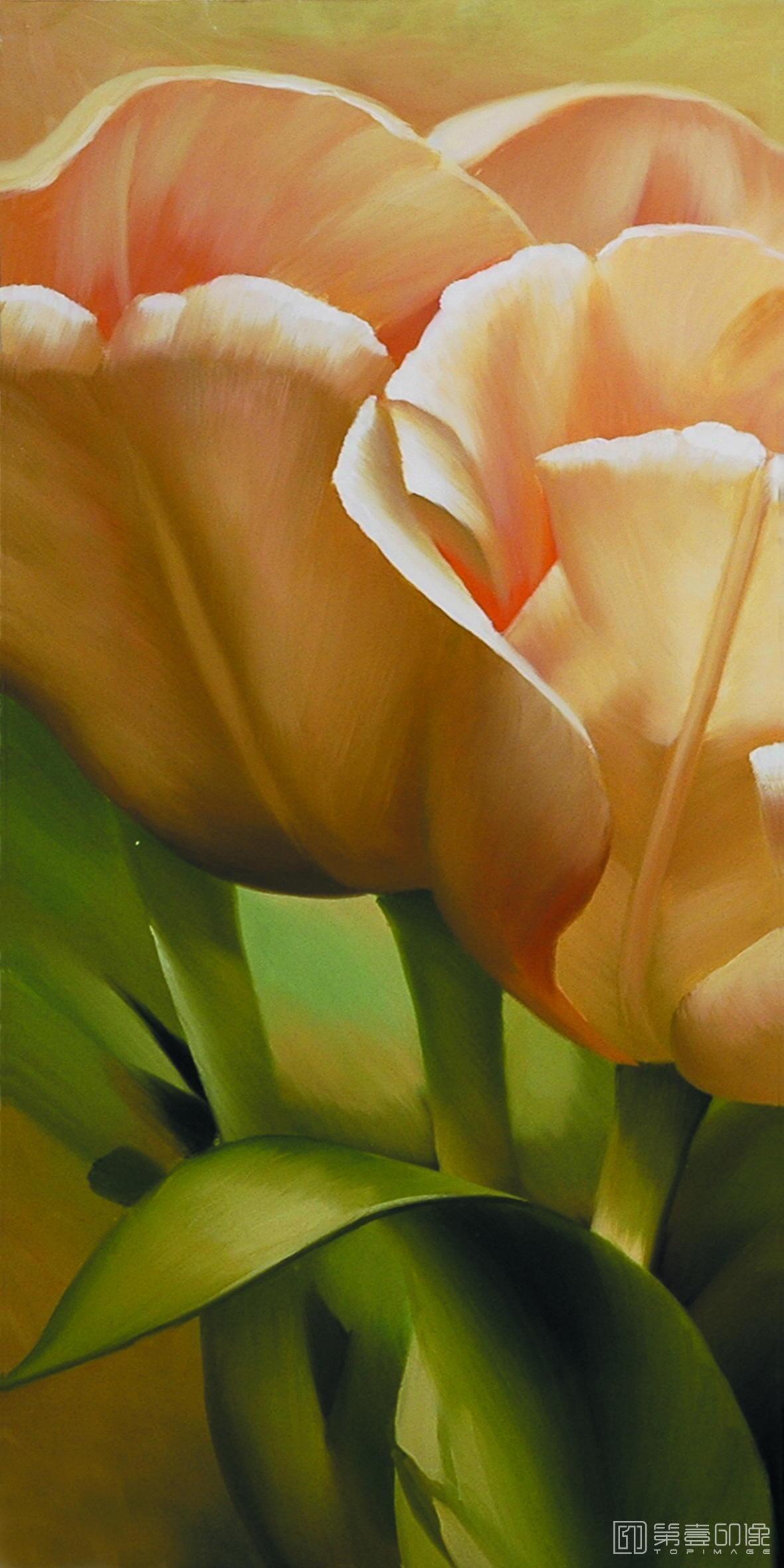 水彩画-世界传世名画抽象绘画-0271