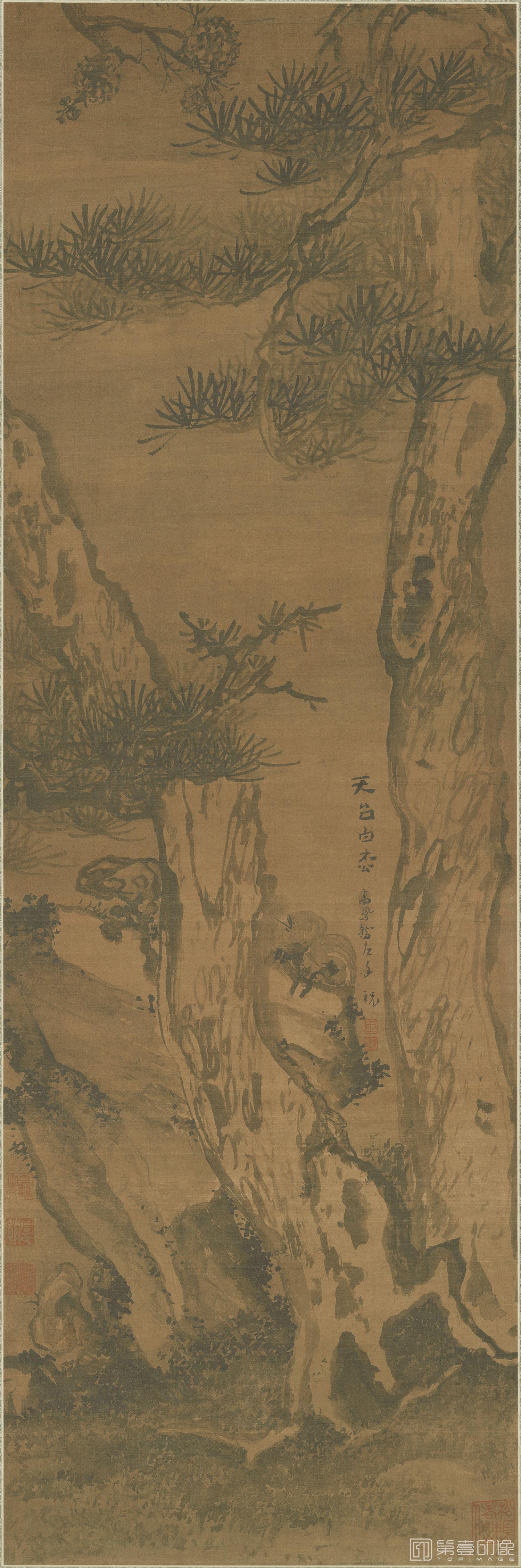 书法-天台白松图 绢本105x34