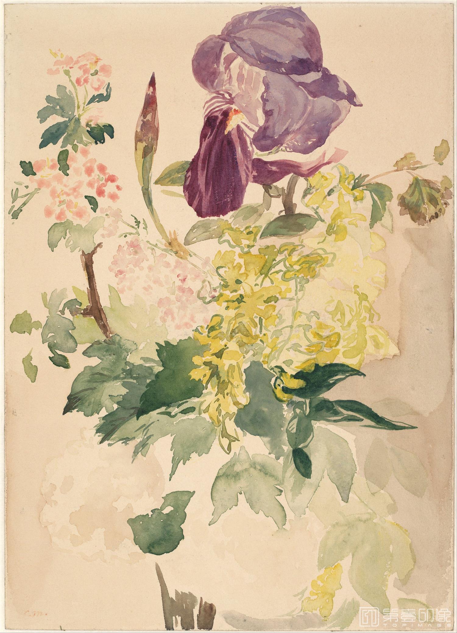 油画-奥地利维也纳阿尔贝蒂娜博物馆-édouard Manet (1832–1883)-Flower Piece with Iris, Laburnum, and