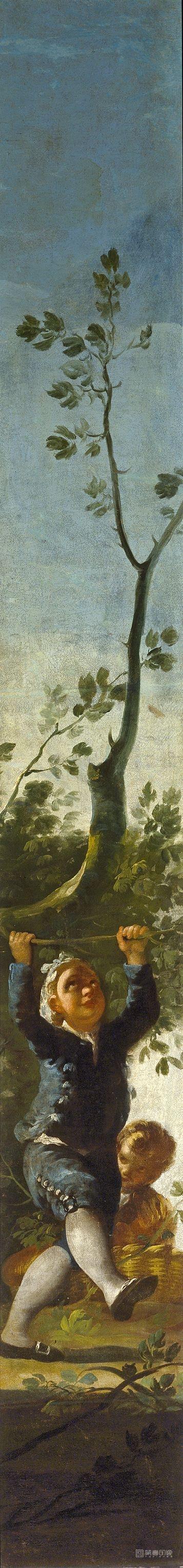 油画-西班牙普拉多美术馆-Goya y Lucientes, Francisco de-El nino del árbol-262 cm x 40 cm
