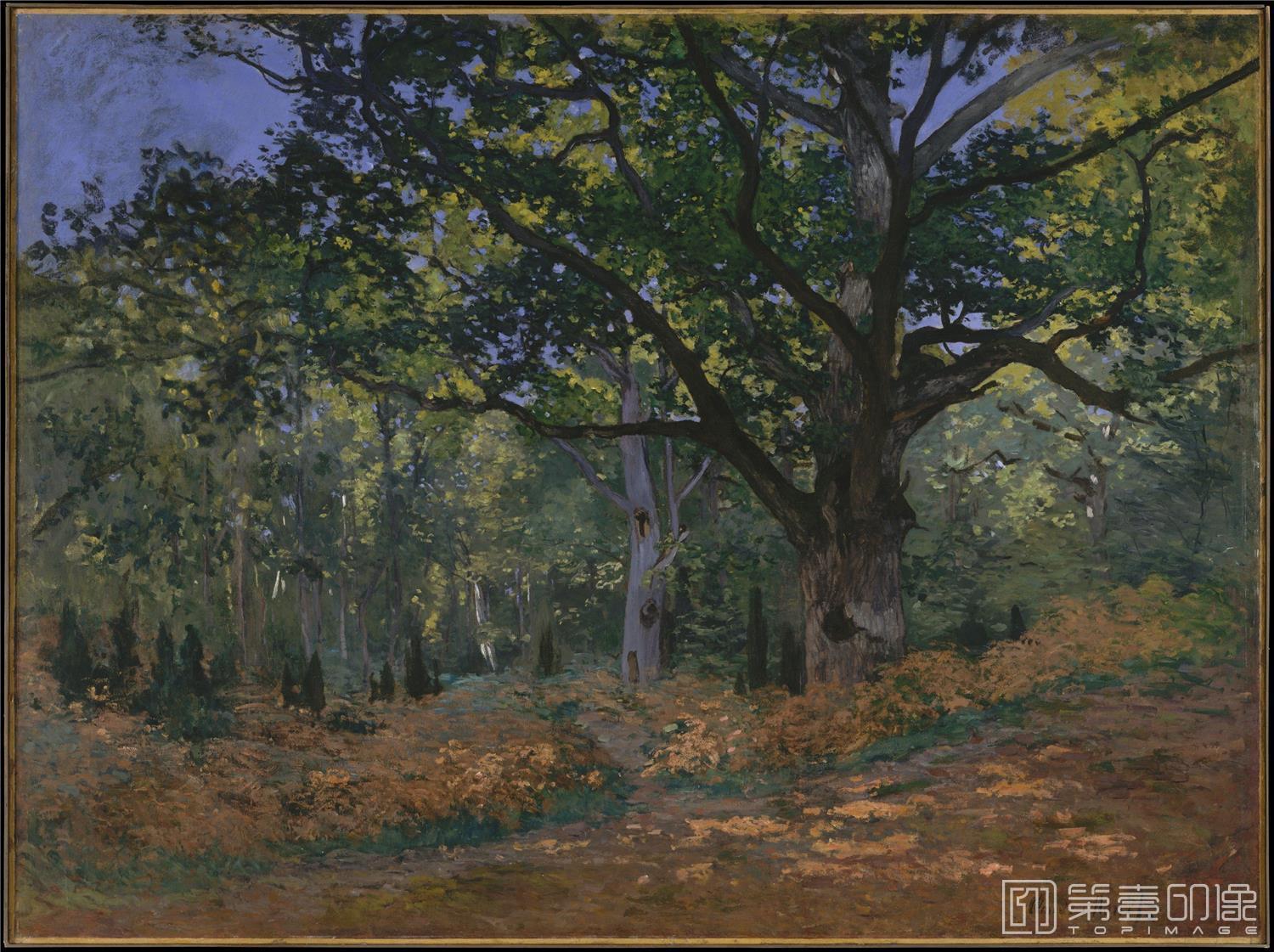 油画-美国纽约大都会美术馆油画藏-Claude Monet-The Bodmer Oak, Fontainebleau Forest0464