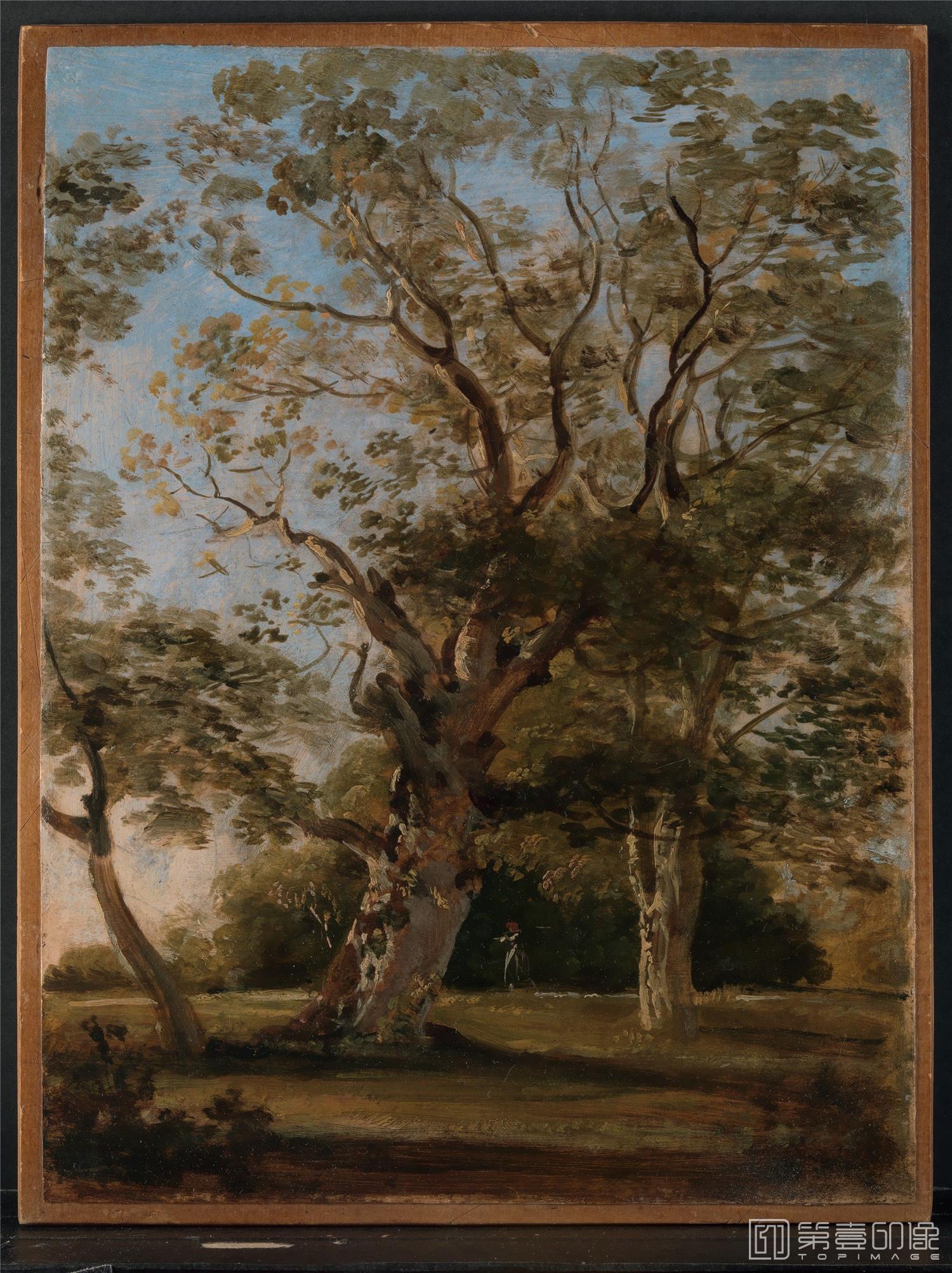 油画-美国纽约大都会美术馆油画藏-Johann Georg von Dillis-Beech Trees in the English Garden, Munich207