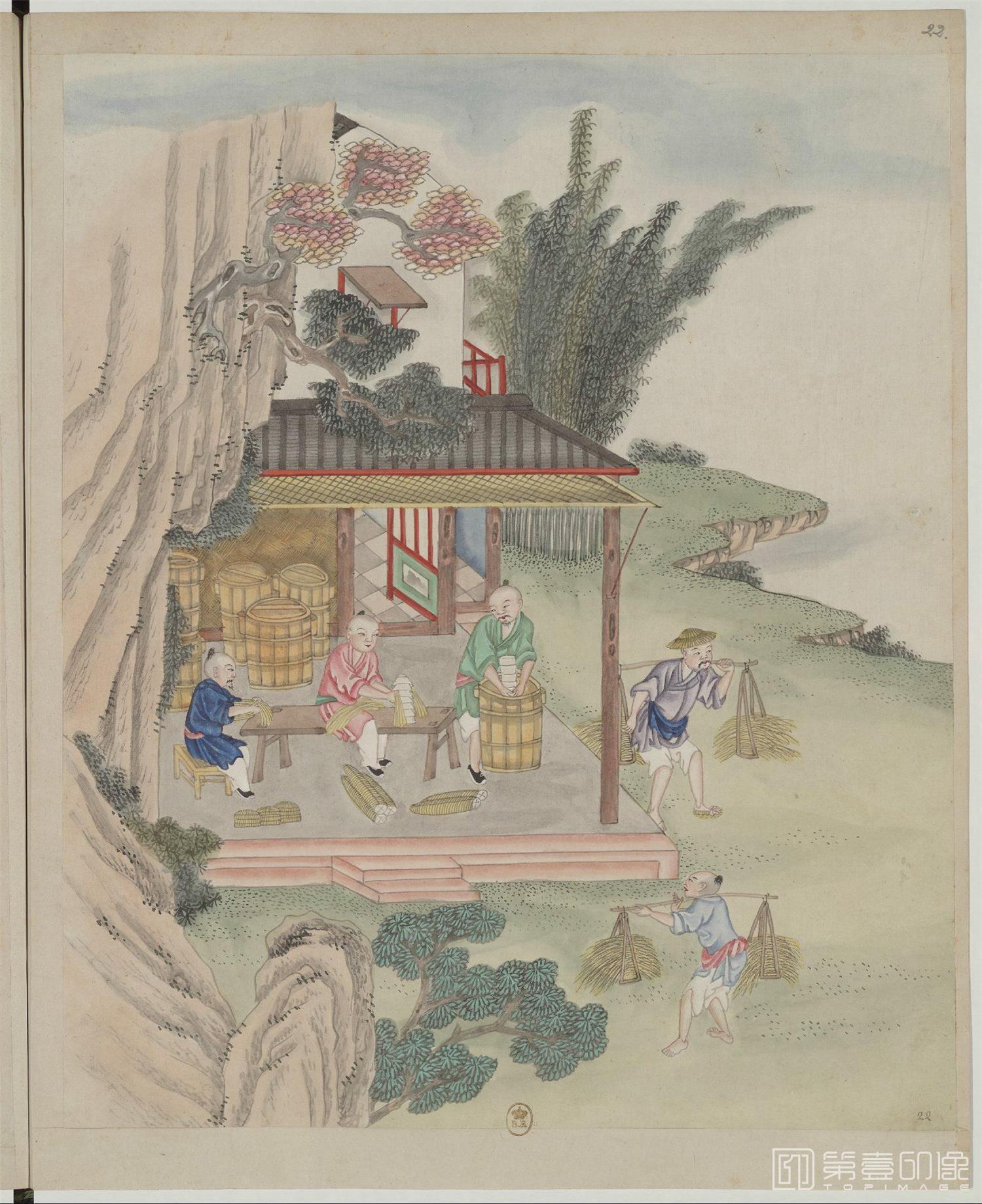 水粉画-中国自然历史绘画.瓷器制造.水粉和通草画册.两本.19世纪-028