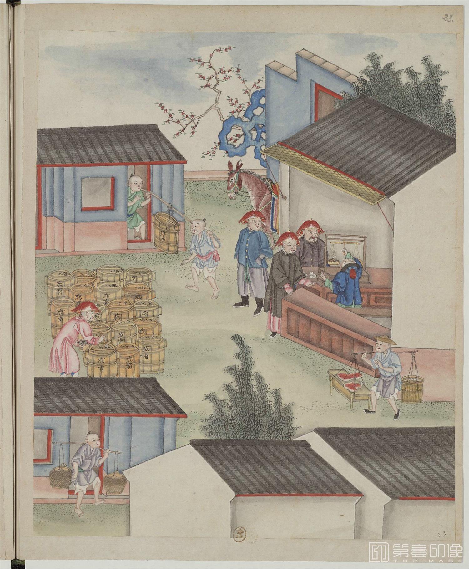 水粉画-中国自然历史绘画.瓷器制造.水粉和通草画册.两本.19世纪-029