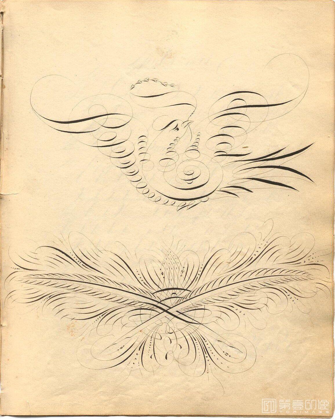 手绘-The Daniel T.Ames Notebook.by Daniel T.Ames.c1879-036