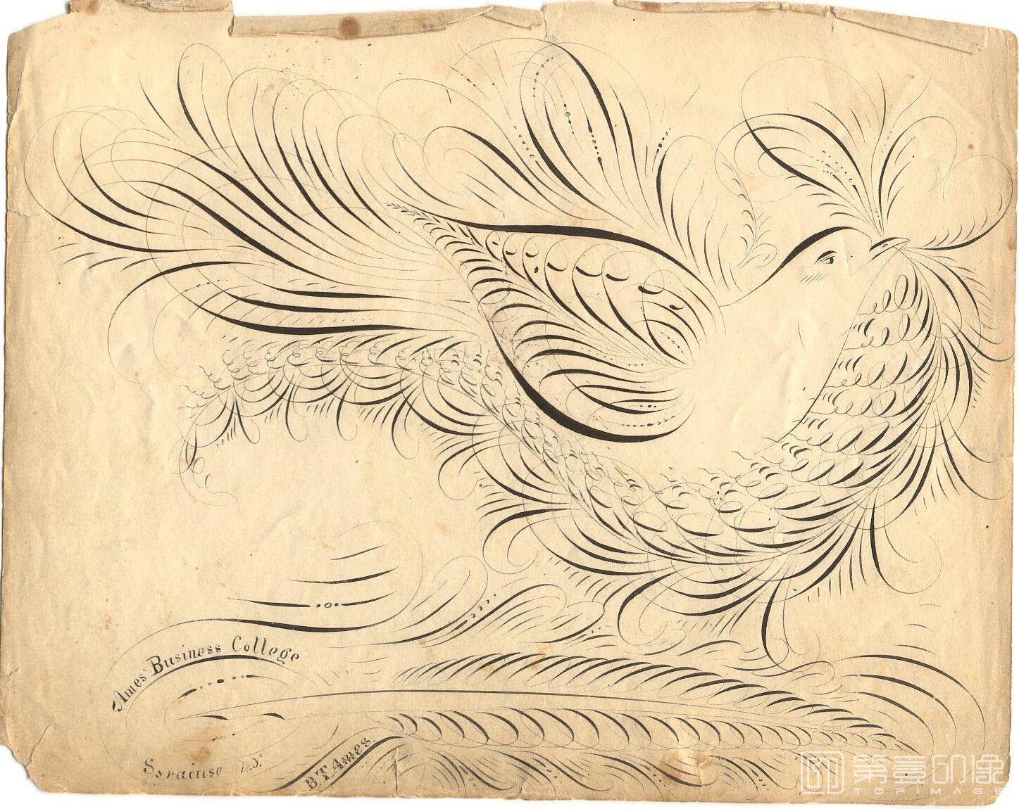 手绘-The Daniel T.Ames Notebook.by Daniel T.Ames.c1879-088